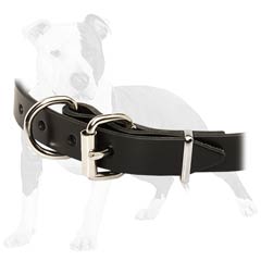High quality leather collar