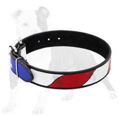 American flag painting on this training leather collar