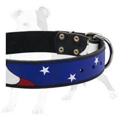 Professionally painted leather collar 