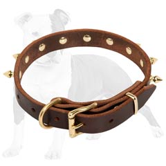 Narrow Leather Dog Collar with Brass Spikes