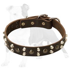 Safe and strong dog leather collar