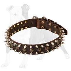 Leather Spiked and Studded Collar