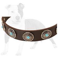 Sturdy leather material make this collar unbreakable