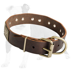 Super Comfortable Leather Canine Collar