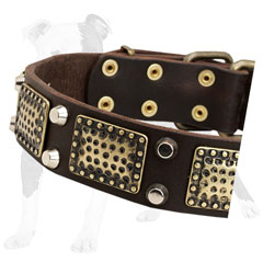 Leather dog collar with decorations