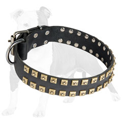 Leather dog collar with brass buckle and D-ring