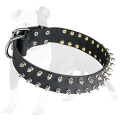 Supple leather collar adorned with silver spikes