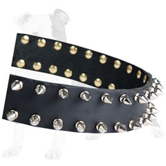 Timeless leather collar with nickel buckle and D-ring