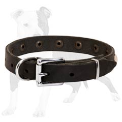 Leather Dog Collar for Puppy Walking