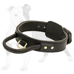 Special strong leather dog collar