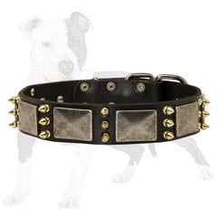 Designer Leather Canine Collar with Vintage Plates