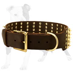 Wide Leather Collar with Brass Spikes