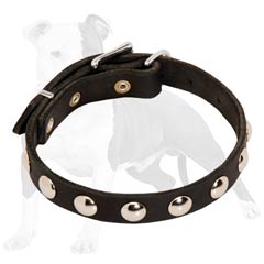 Walking Leather Dog Collar for Puppies and Small Breeds 