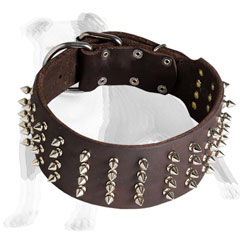 Leather dog collar extra wide