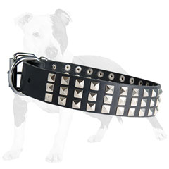 Leather dog collar with durable hardware
