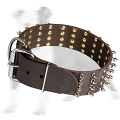 Brown leather dog collar with nickel plated hardware