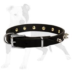 Narrow Dog Collar Suitable for Small Breeds