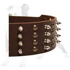 Leather dog collar of extra width