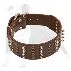 Strong leather dog collar with nickel plated hardware