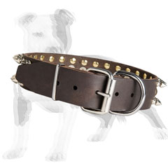 Walking leather dog collar with buckle and D-ring