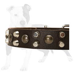 Highly reliable leather collar for your doggy
