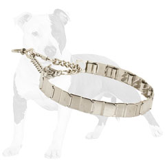 Stainless steel Neck     Tech dog collar