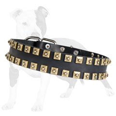 Fashion leather dog collar decorated with square studs