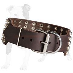 Leather dog collar with nickel plated buckle and D-ring