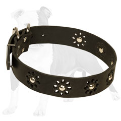 Fashionable leather dog collar