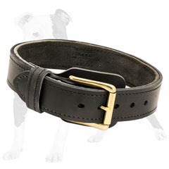 Comfy dog collar with fur protection plate