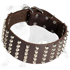 Designer leather dog collar decorated with pyramids