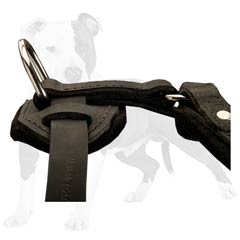 Super convenient D-ring for leash attachment