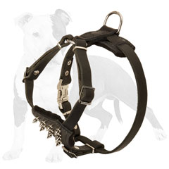 Y-shaped leather dog harness with nickel plated spikes
