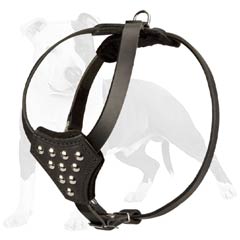 Adjustable leather dog harness