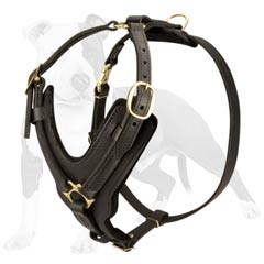 Reliable and totally safe harness for your dog