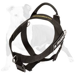 Best harness for working dogs