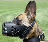 training dog muzzles
