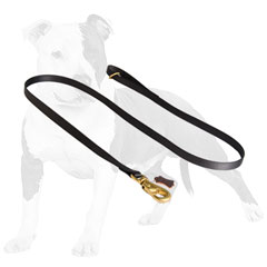 Adjustable nylon dog leash for tracking