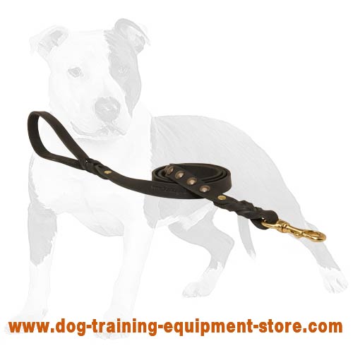 Matching for tracking activity leather dog leash