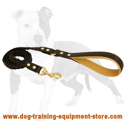 Reliable and convenient lead for better control of your dog