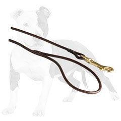 Round leather leash with sturdy snap hook