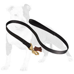 Adjustable nylon dog leash