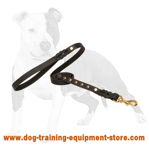 Canine lead with anti-rubbing handle will turn walking into pleasure