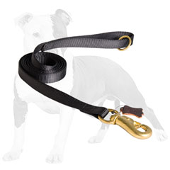Non-stretching nylon dog leash