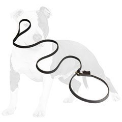 Combo leather dog leash with brass hardware
