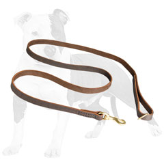Leather Dog Leash for Walking