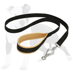 Nylon Canine Leash with Strong HS Snap Hook