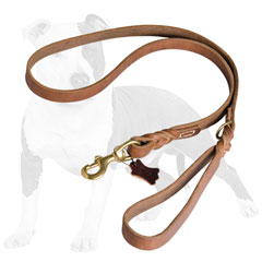 Professional leather dog leash