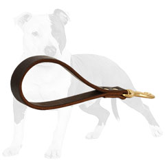 Brown Short Leash with Brass Snap Hook