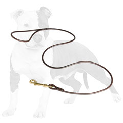 Flexible leather leash for dog show